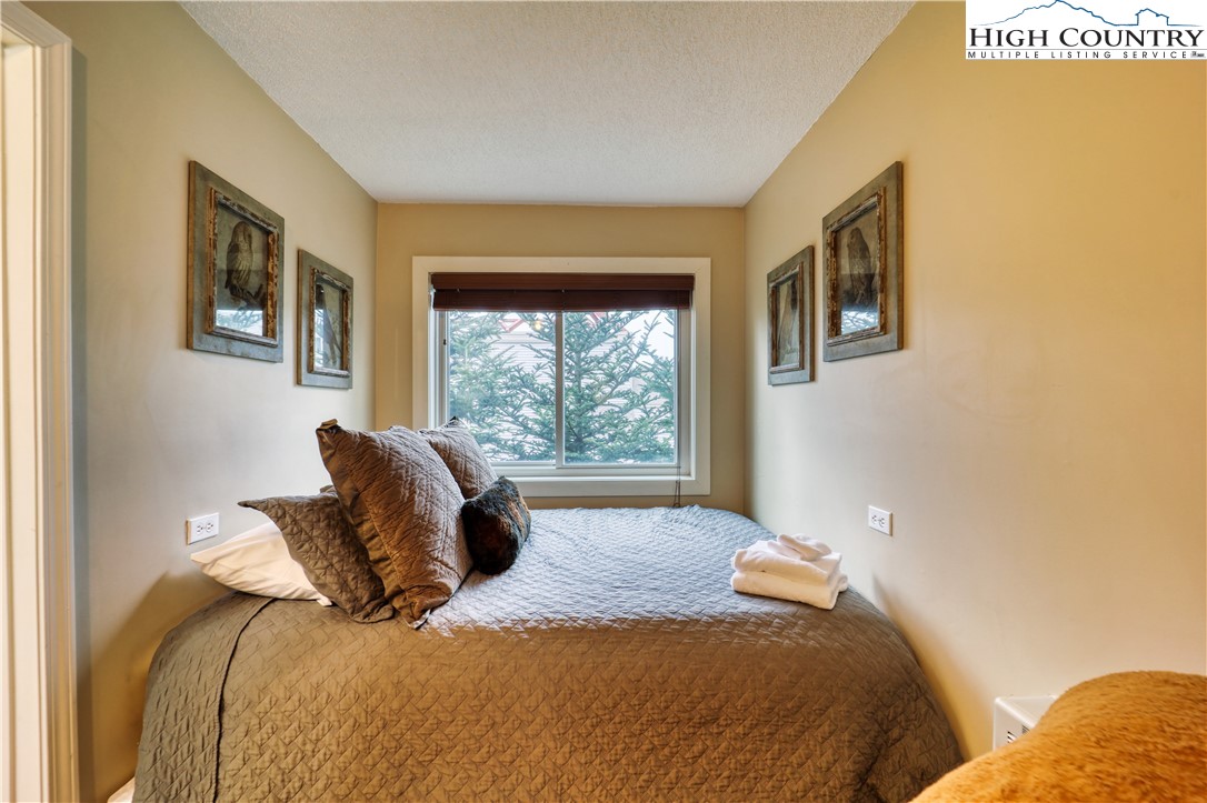301 Pinnacle Inn Road, Unit 1101 Beech Mountain, NC 28604 - Photo 9 of 22 Gallery Image 9
