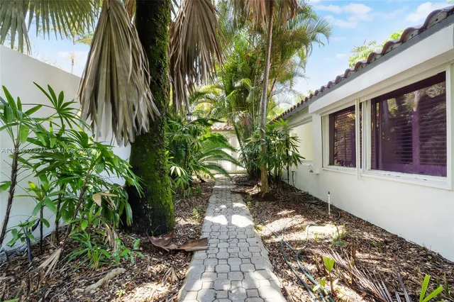 a view of backyard with plants and palm trees