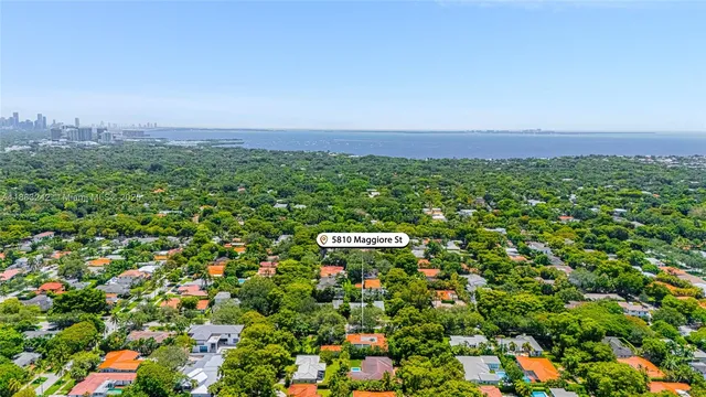 a view of a bunch of flowers in a field