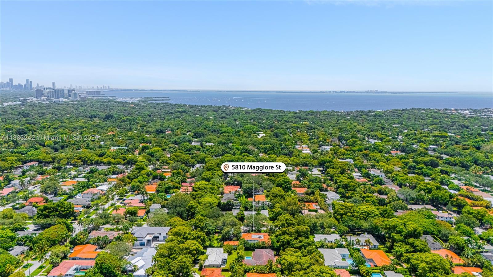 5810 Maggiore Street, Unit 5810 Coral Gables, FL 33146 - Photo 2 of 37 a view of a bunch of flowers in a field