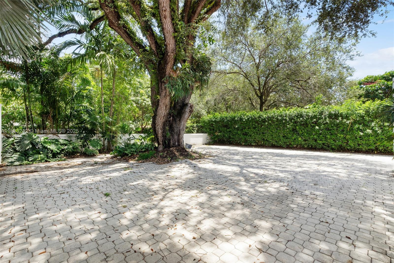 5810 Maggiore Street, Unit 5810 Coral Gables, FL 33146 - Photo 10 of 37 a view of a yard with plants and trees
