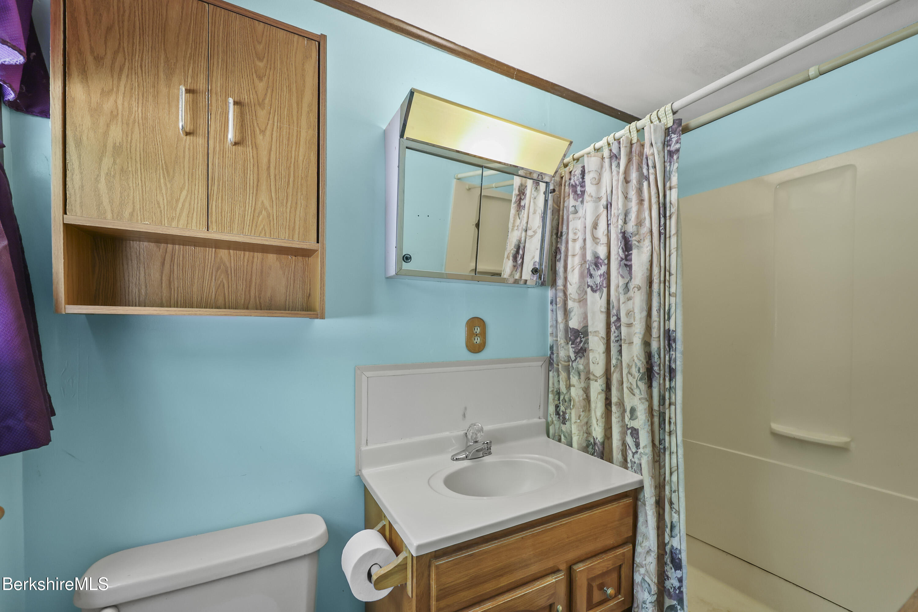 378 E Road Clarksburg, MA 01247 - Photo 20 of 36 a bathroom with a sink a toilet and shower