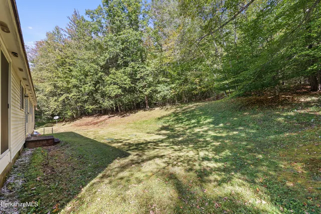 a view of a backyard