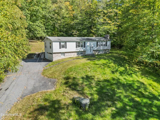 a view of a big yard with plants and large trees