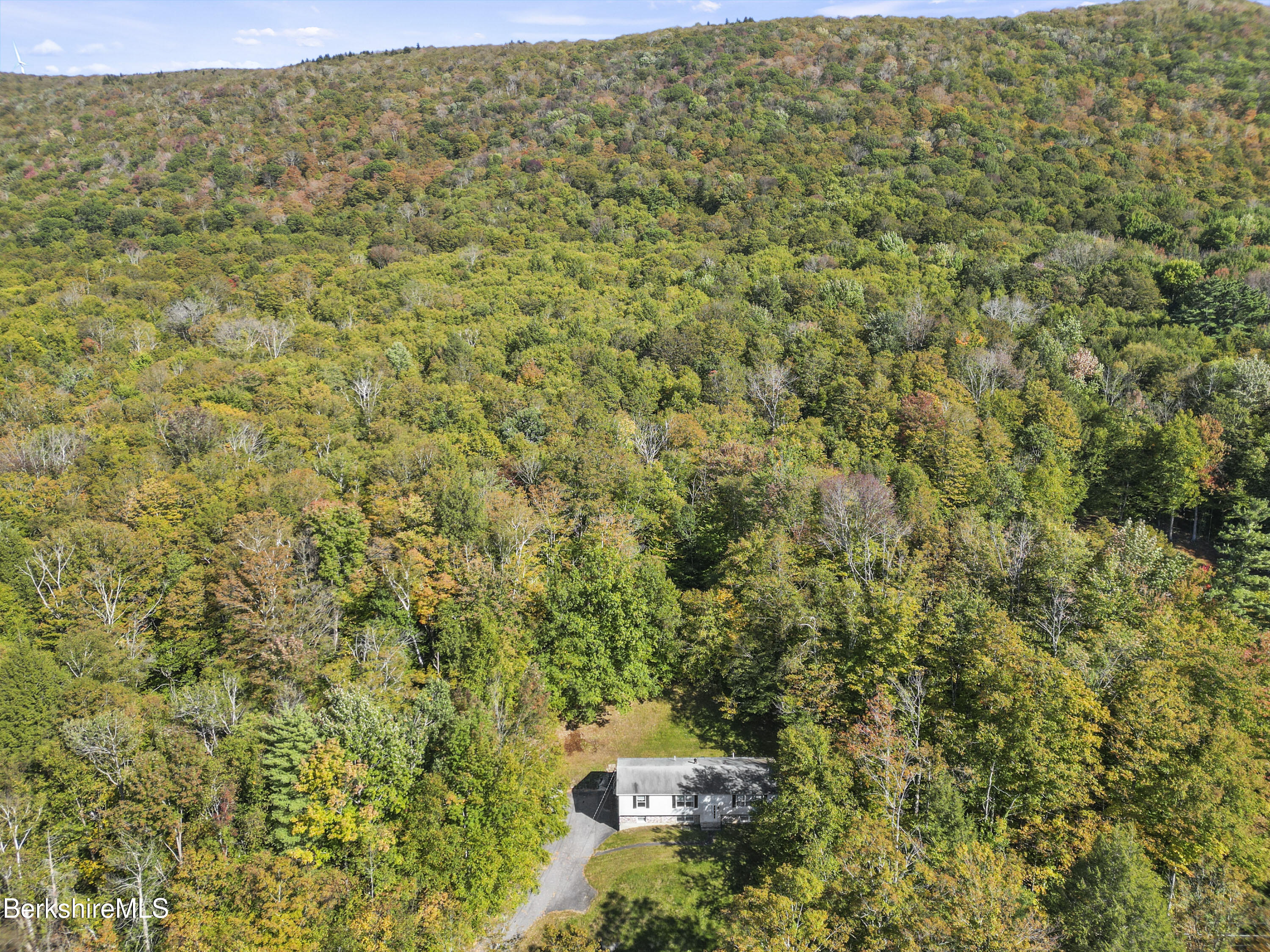 378 E Road Clarksburg, MA 01247 - Photo 35 of 36 a view of a big yard with plants and large trees