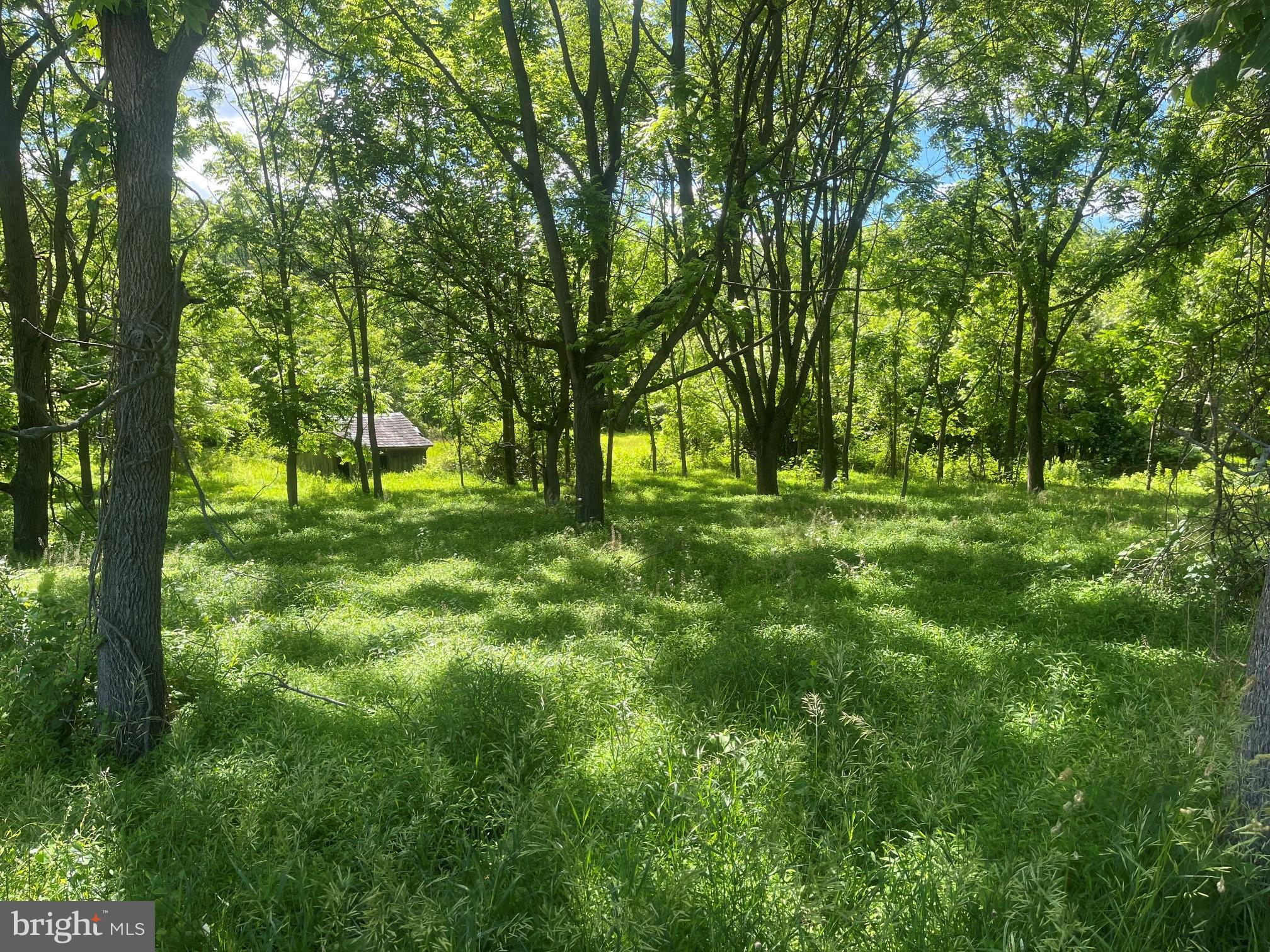 0 North Mcdermott Road Fawn Grove, PA 17321 - Photo 6 of 6