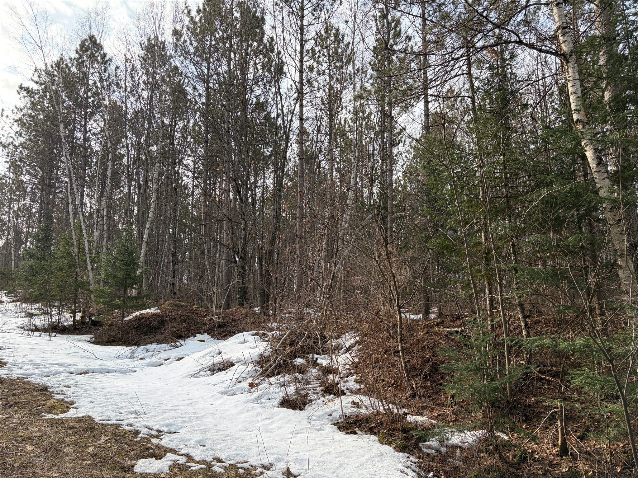 On West Barker Lake Road Winter, WI 54896 - Photo 4 of 7