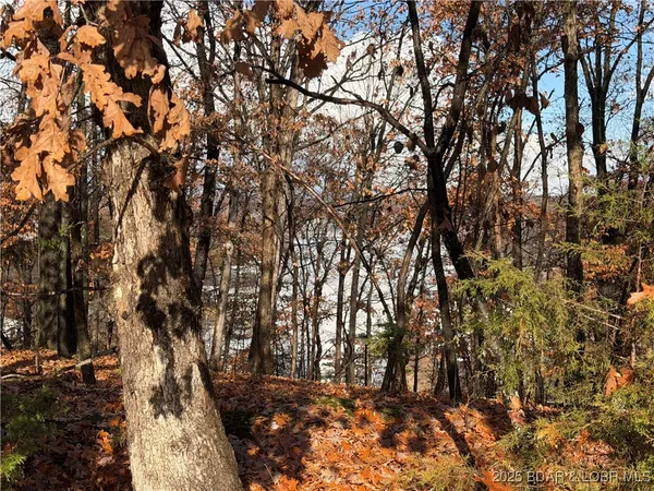 $15,000 | Lot 46 Carol Road, Four Seasons, MO 65049