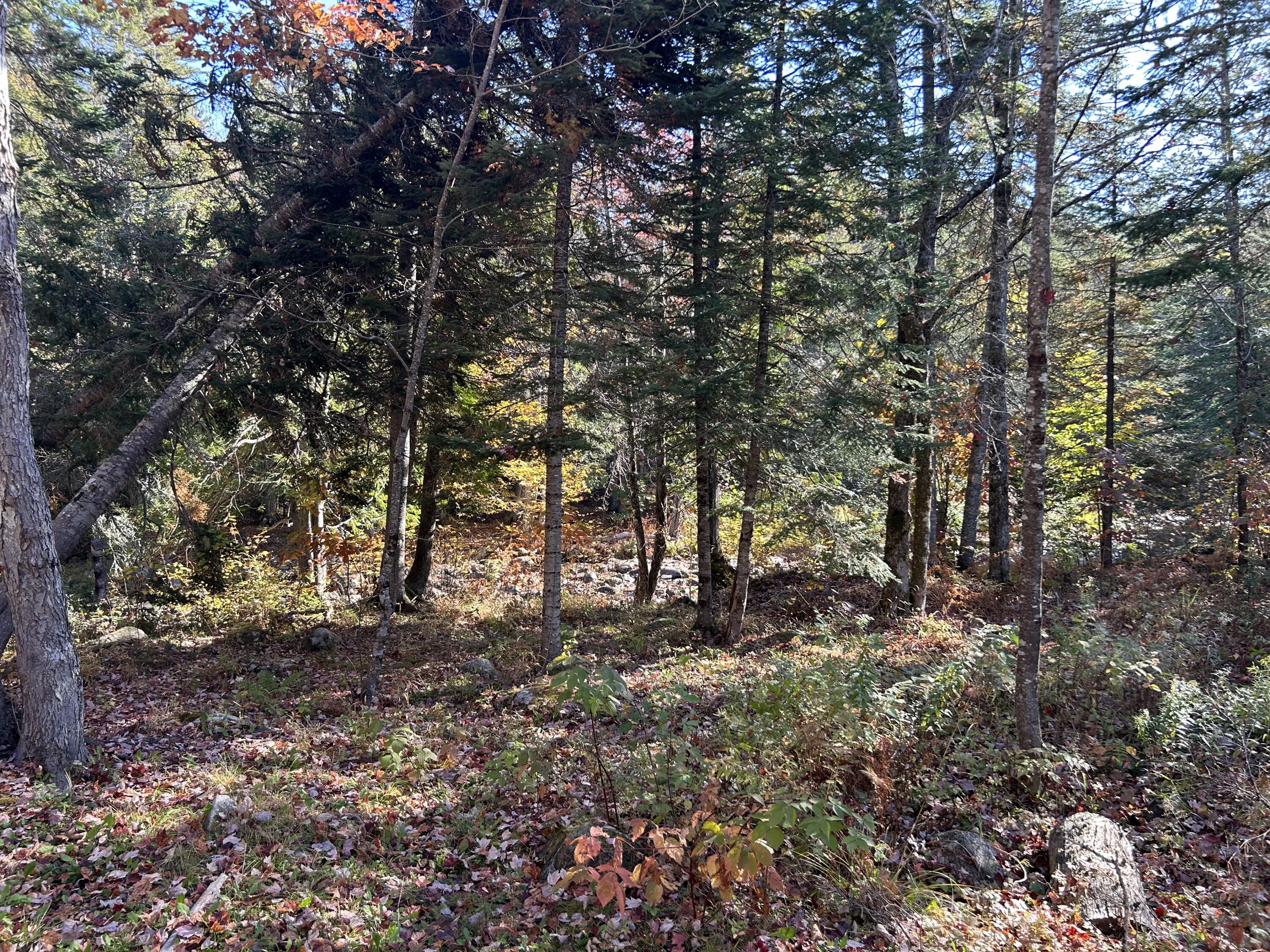 M1-l1-3 Bowerbank Road Sebec, ME 04481 - Photo 4 of 39