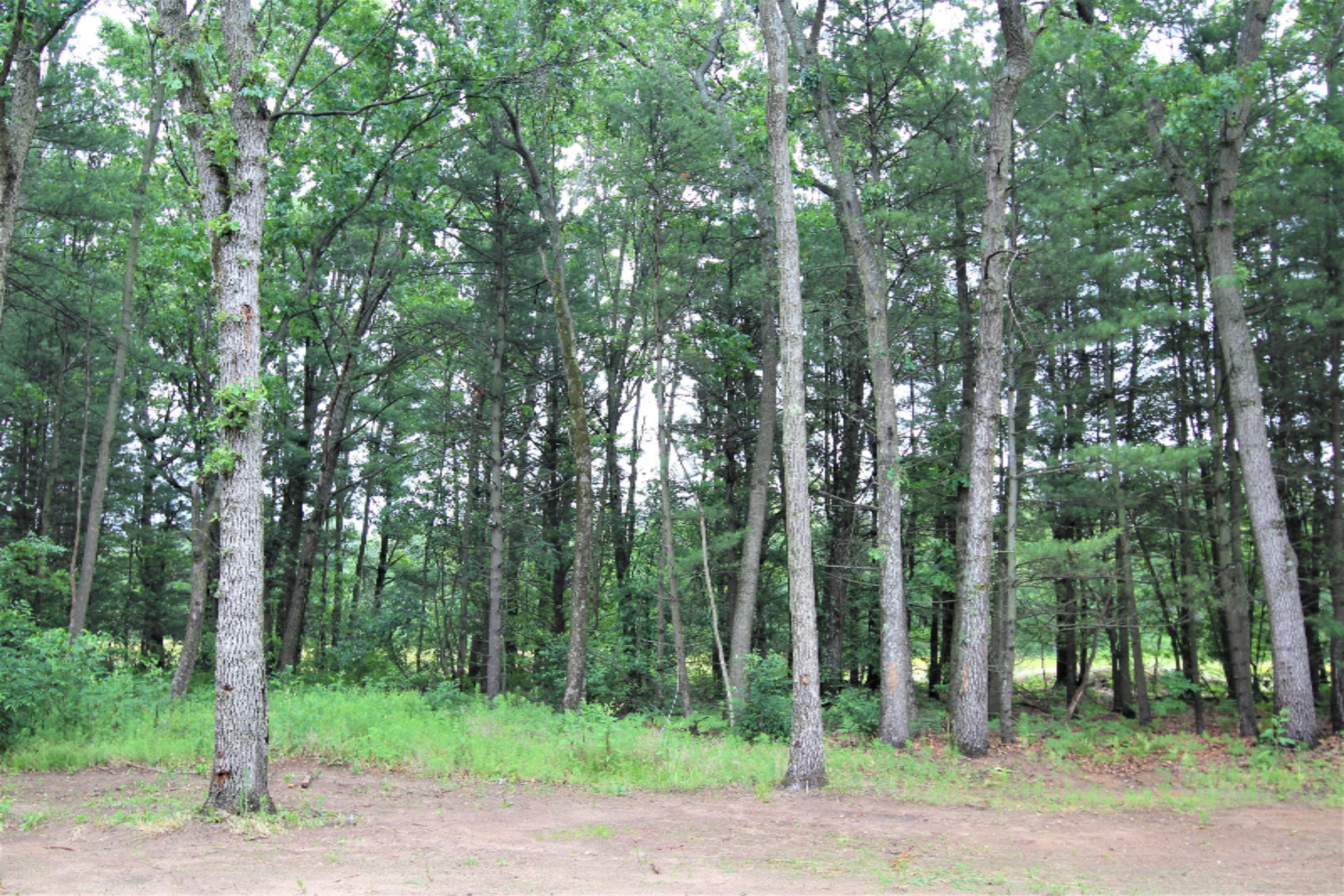 420 East River Road Muskegon, MI 49445 - Photo 39 of 41 Back Woods