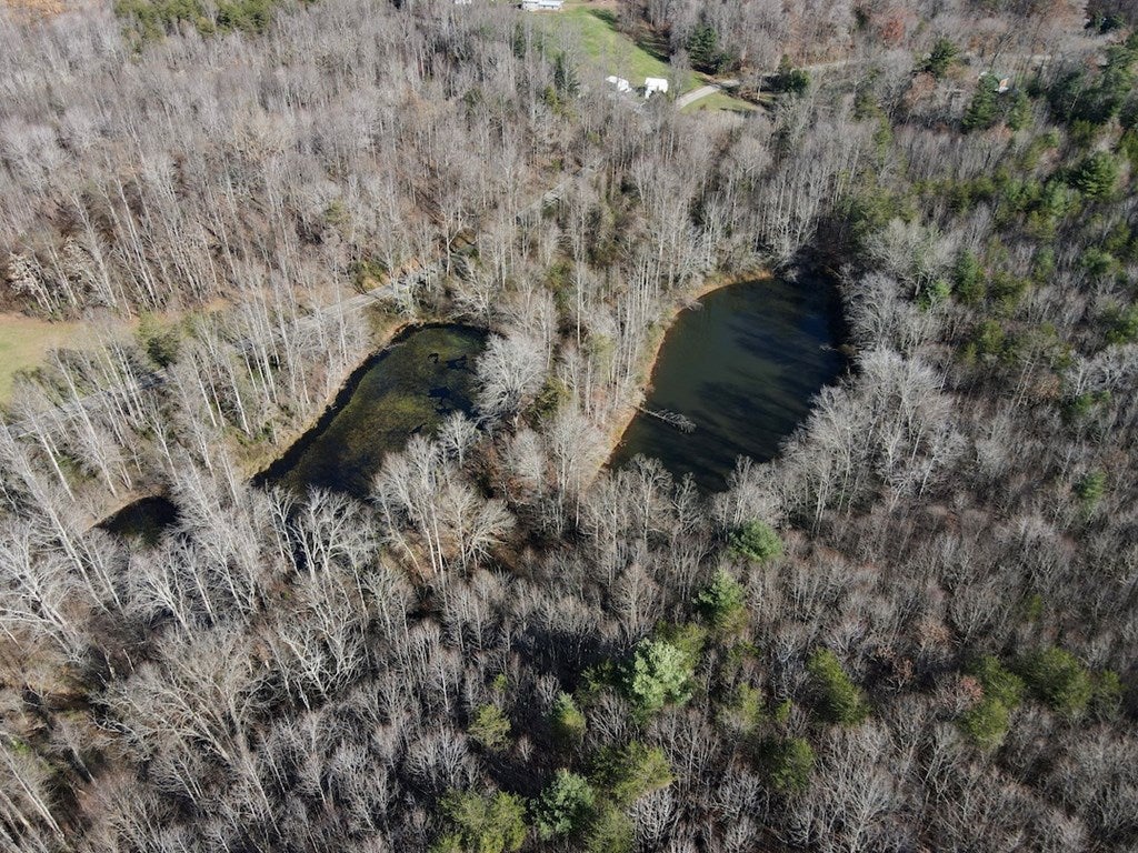 Old Mill Road Patrick Springs, VA 24133 - Photo 11 of 49 Gallery Image 11