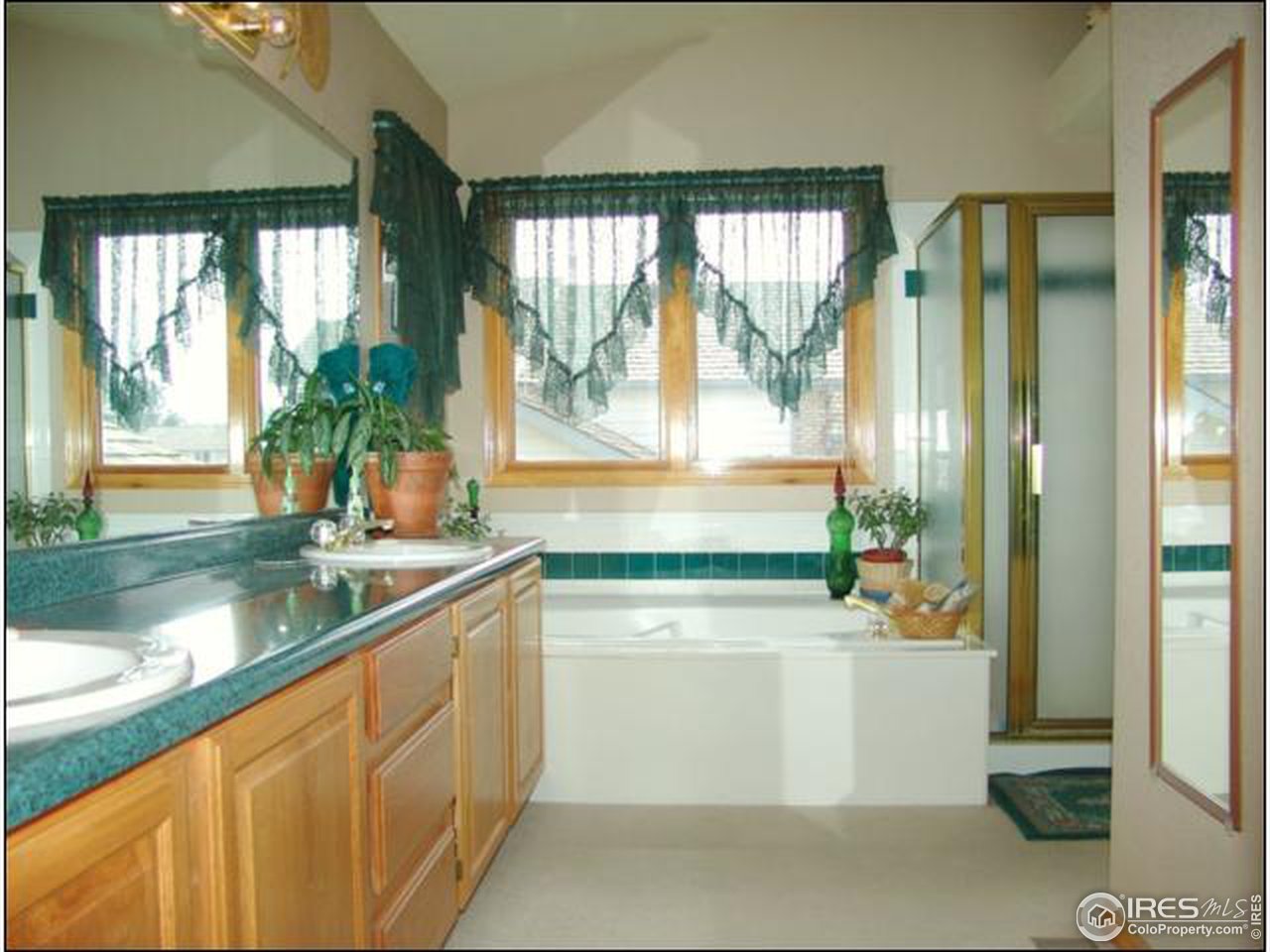 2836 Antelope Road Fort Collins, CO 80525 - Photo 10 of 18 Master bath