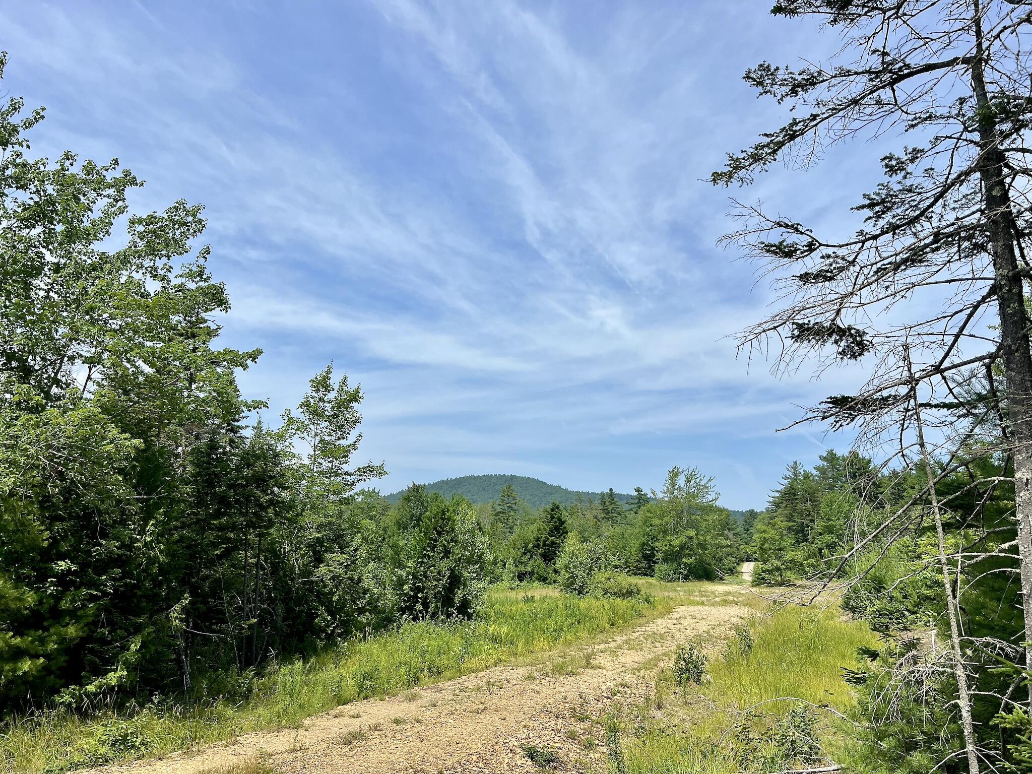 16 Map Road Lincolnville, ME 04849 - Photo 13 of 19 Map 16 Lot 54C, Lincolnville