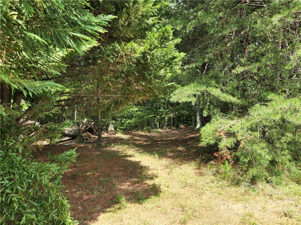 8700 Reeps Grove Church Road Vale, NC 28168 - Photo 18 of 30
