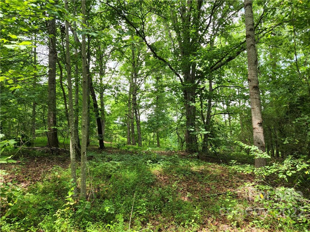 8700 Reeps Grove Church Road Vale, NC 28168 - Photo 7 of 30