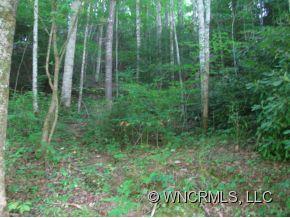 5010 Big Laurel Road Marshall, NC 28753 - Photo 12 of 12 Gallery Image 12