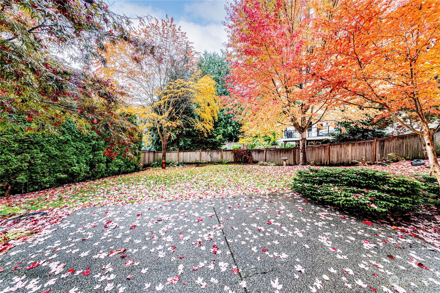 18928 108th Avenue Northeast Bothell, WA 98011 - Photo 39 of 39 a backyard of a house with lots of green space