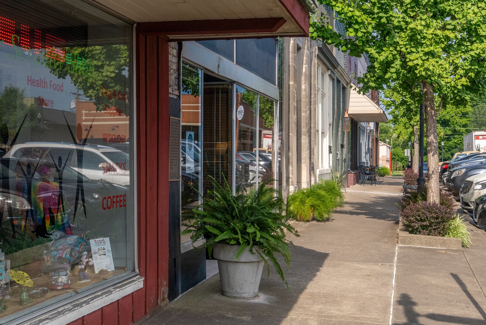 305 Connell Street, Unit B Springfield, TN 37172 - Photo 25 of 54