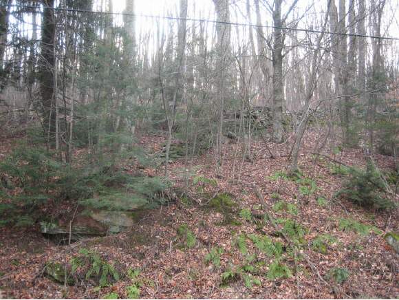 213 Loomis Hill Road Deposit, NY 13754 - Photo 1 of 4 Gallery Image 1