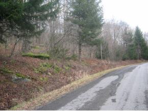 213 Loomis Hill Road Deposit, NY 13754 - Photo 3 of 4 Gallery Image 3