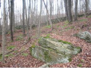 213 Loomis Hill Road Deposit, NY 13754 - Photo 4 of 4 Gallery Image 4