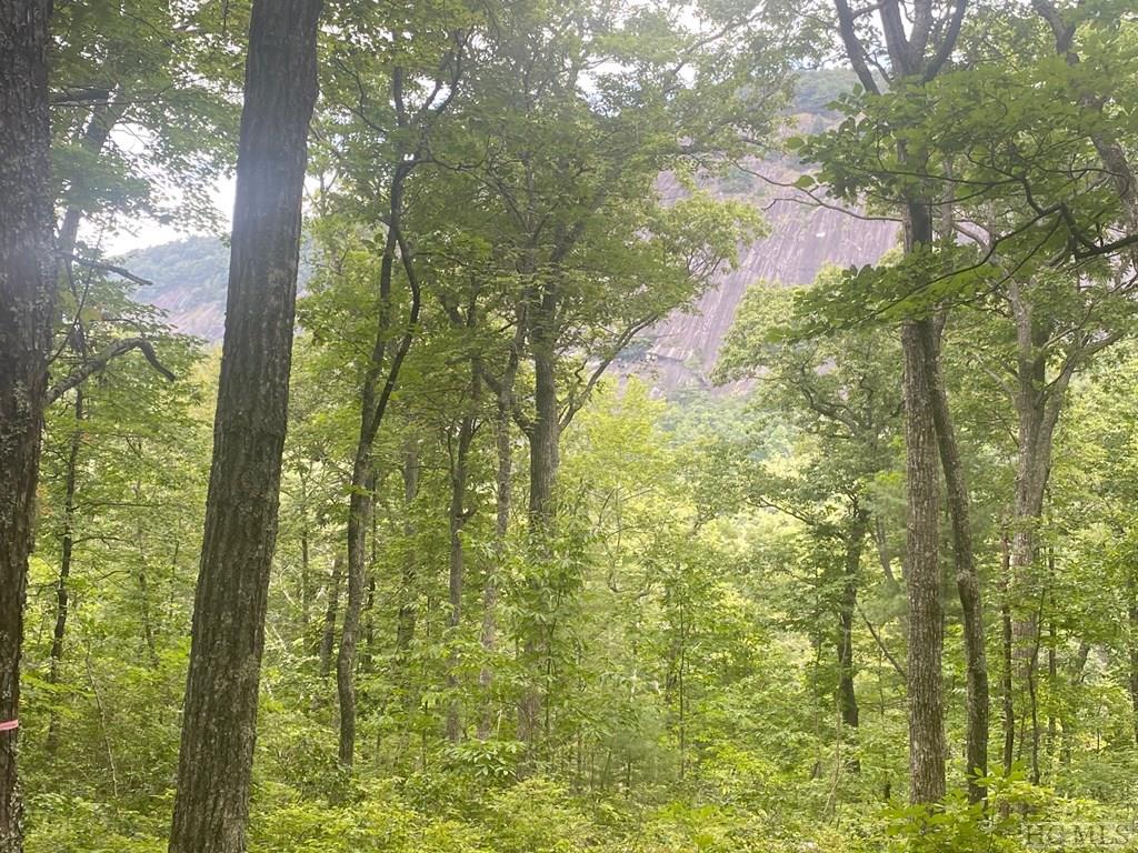 57 Ramble Rdg Road Cashiers, NC 28717 - Photo 4 of 5 Gallery Image 4