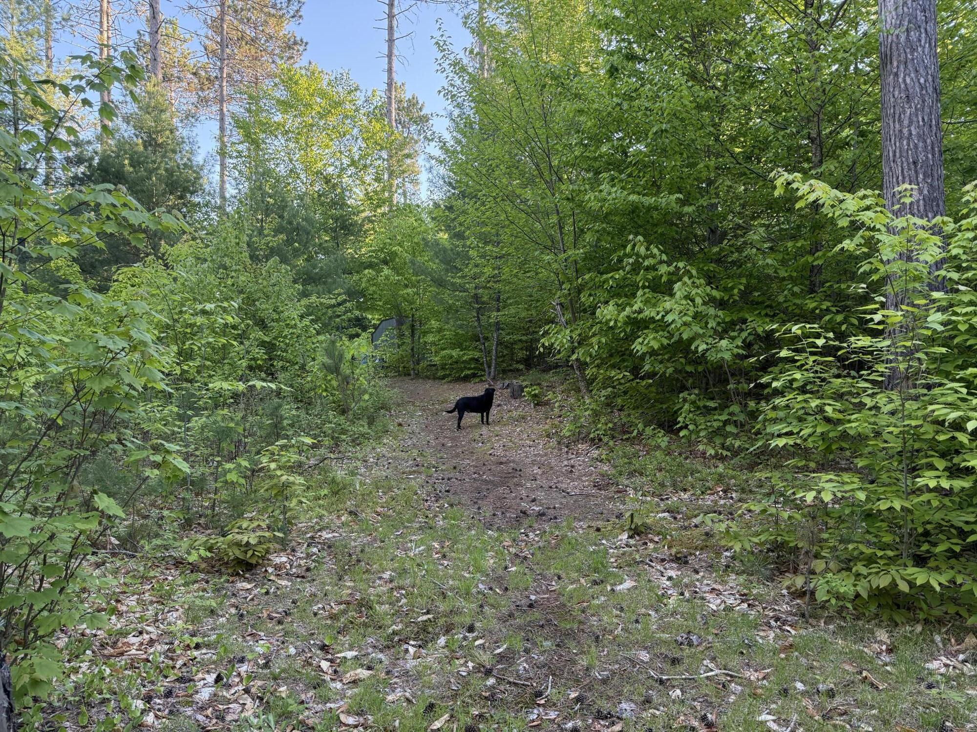 0 County Rte 27 Malone, NY 12953 - Photo 22 of 28