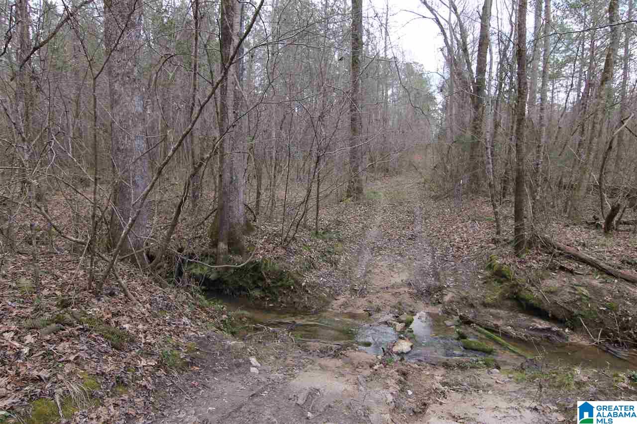 500 Lil Beaver Road, Unit 260 AC Daviston, AL 36256 - Photo 12 of 20