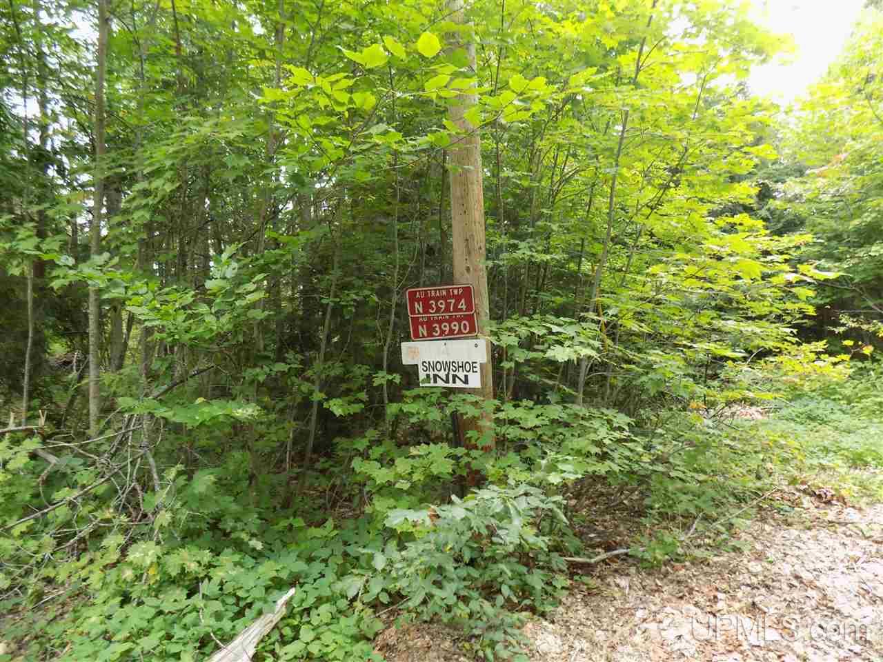 Tbd Hayward Road Munising, MI 49862 - Photo 10 of 15