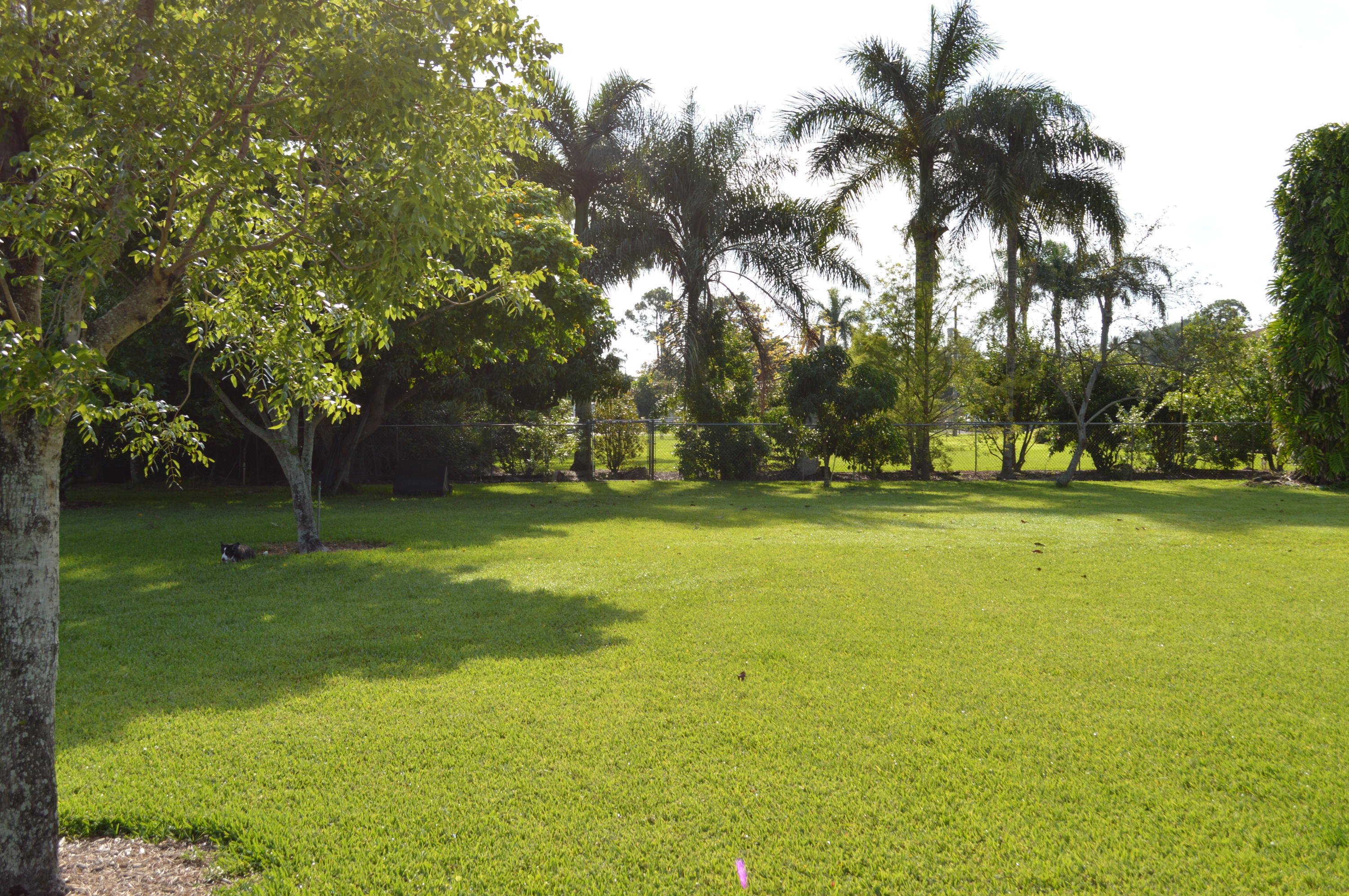 81 Akron Road Lake Worth, FL 33467 - Photo 9 of 10 DSC_0019