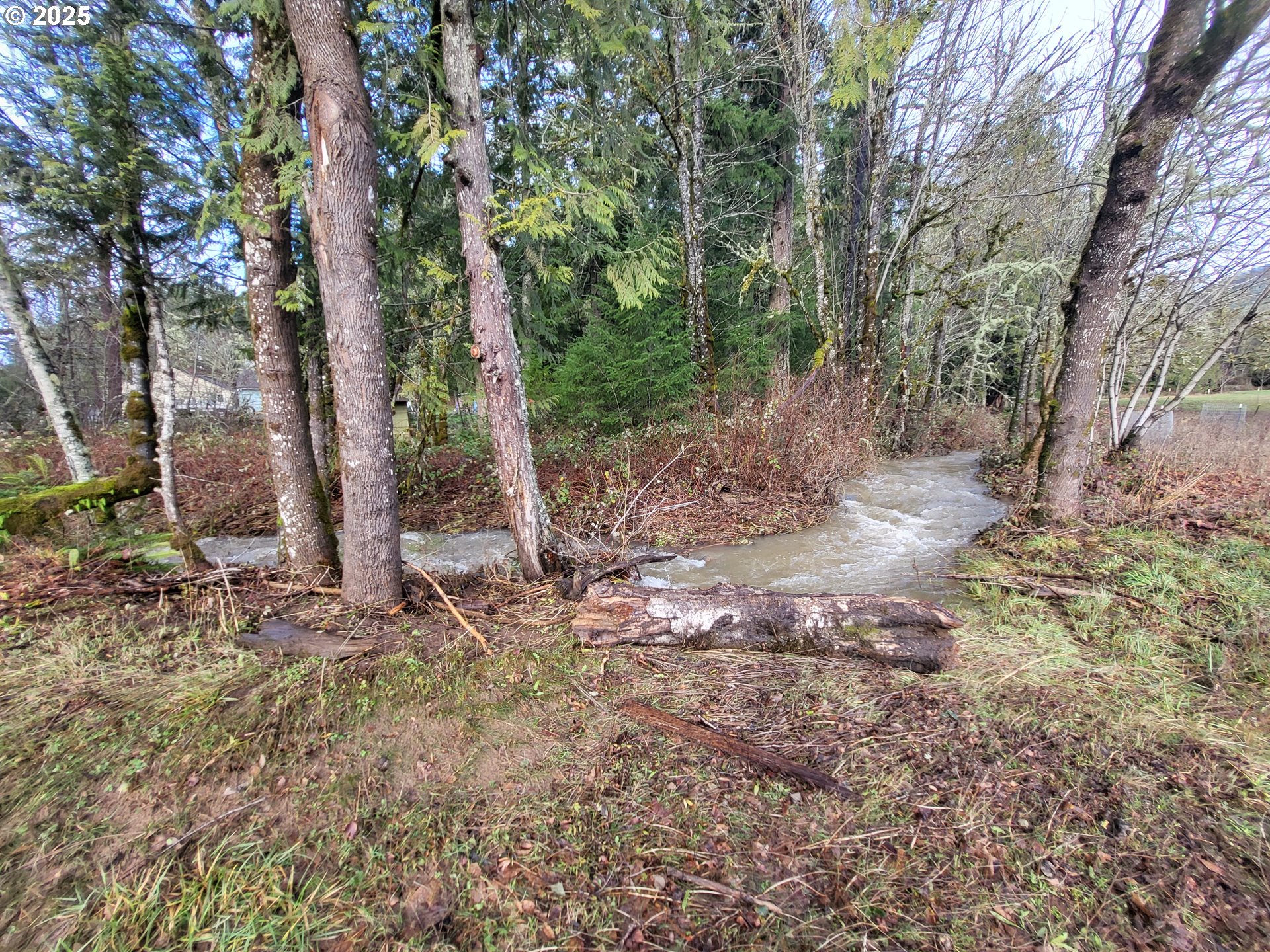 71569 London Road Cottage Grove, OR 97424 - Photo 15 of 28