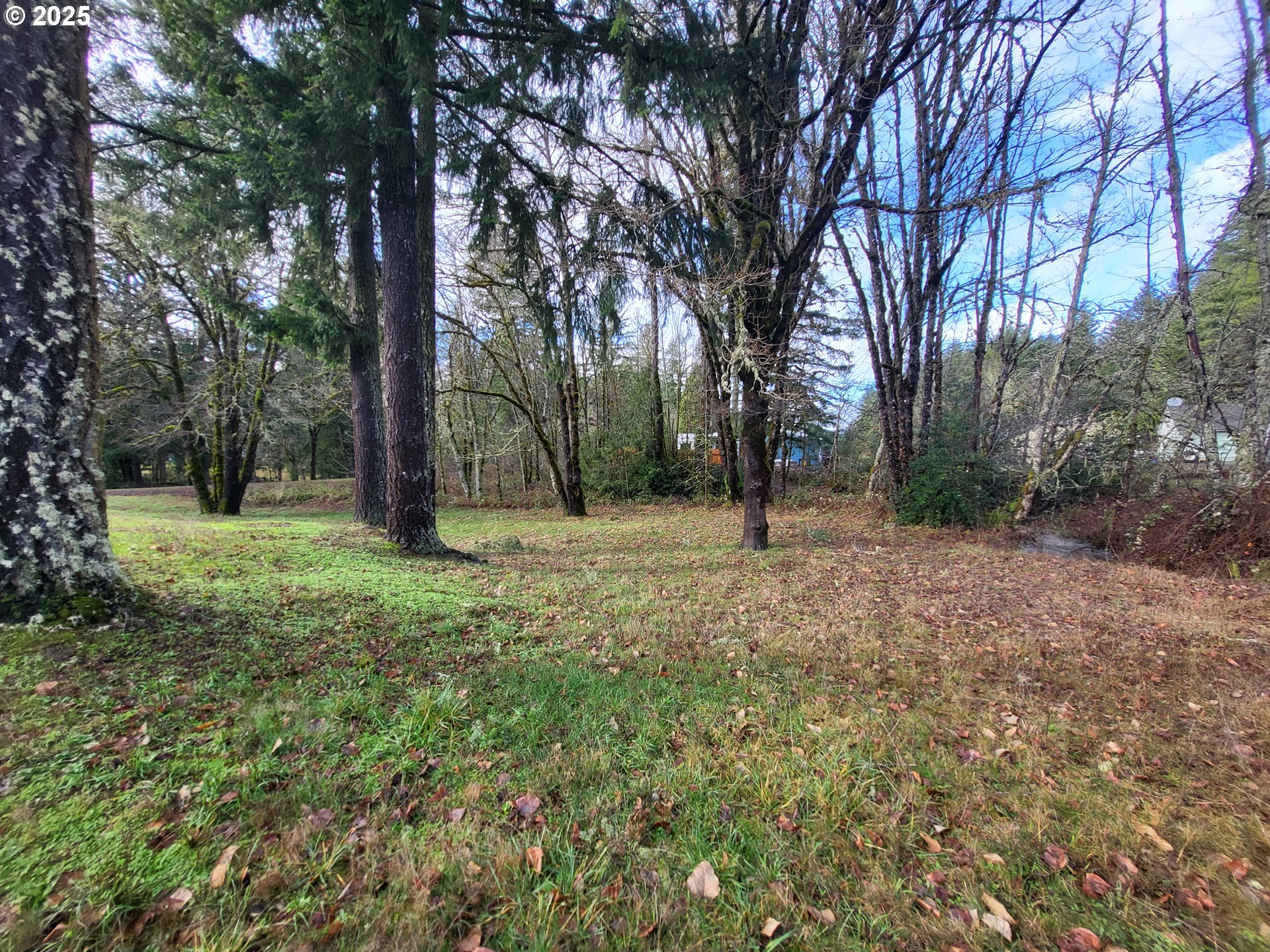 71569 London Road Cottage Grove, OR 97424 - Photo 16 of 28