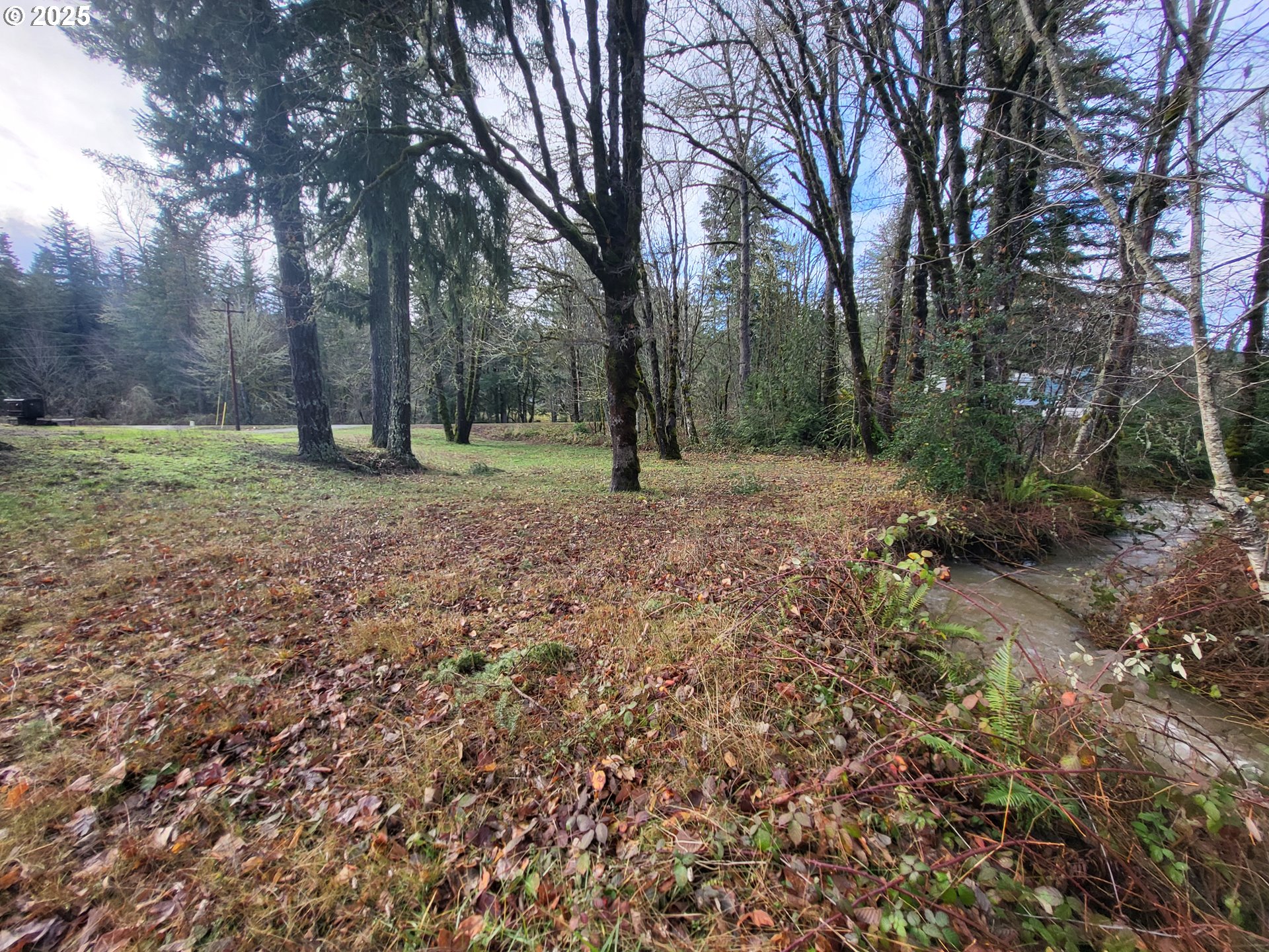 71569 London Road Cottage Grove, OR 97424 - Photo 19 of 28