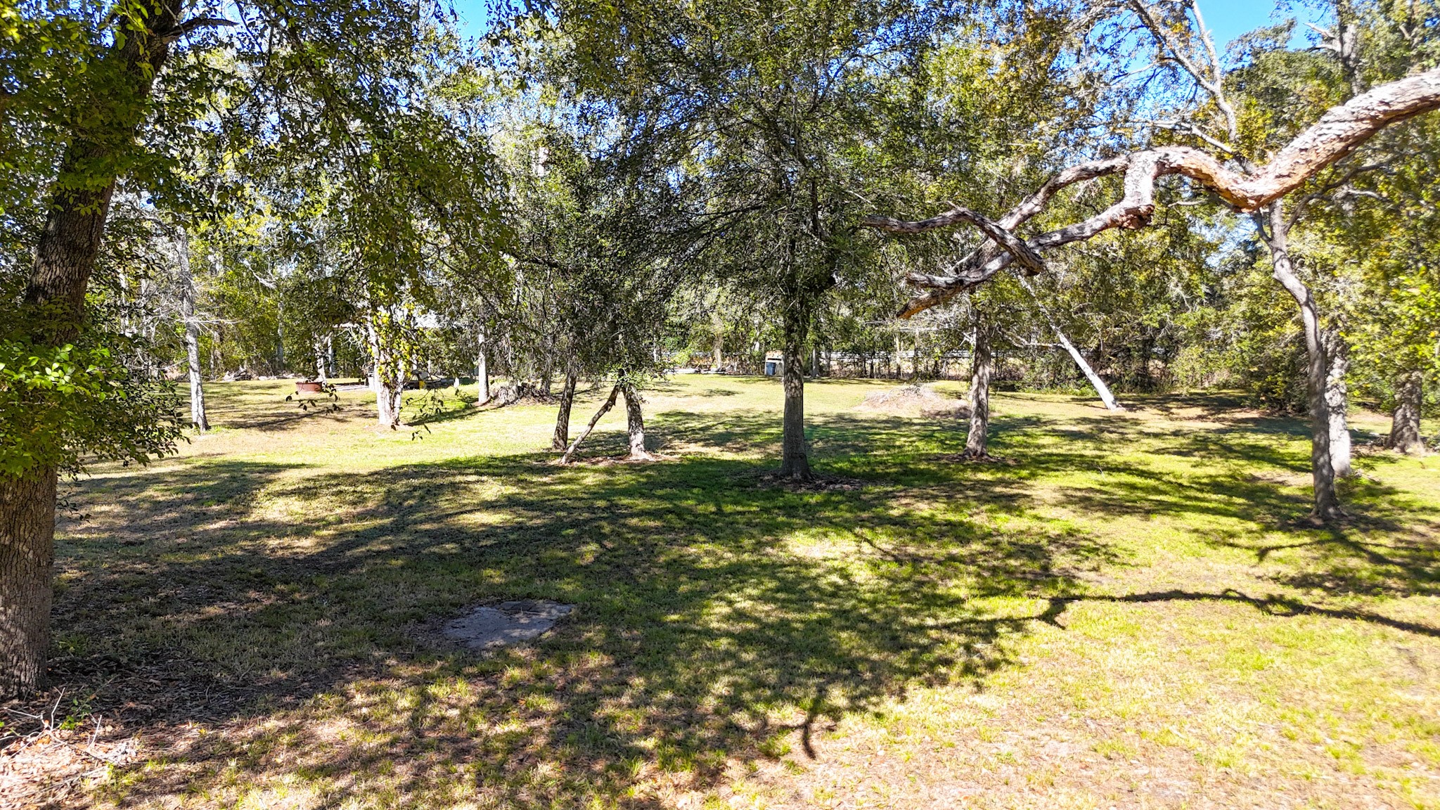 6253 North FM 441 Road El Campo, TX 77437 - Photo 3 of 7 a view of water yard with trees