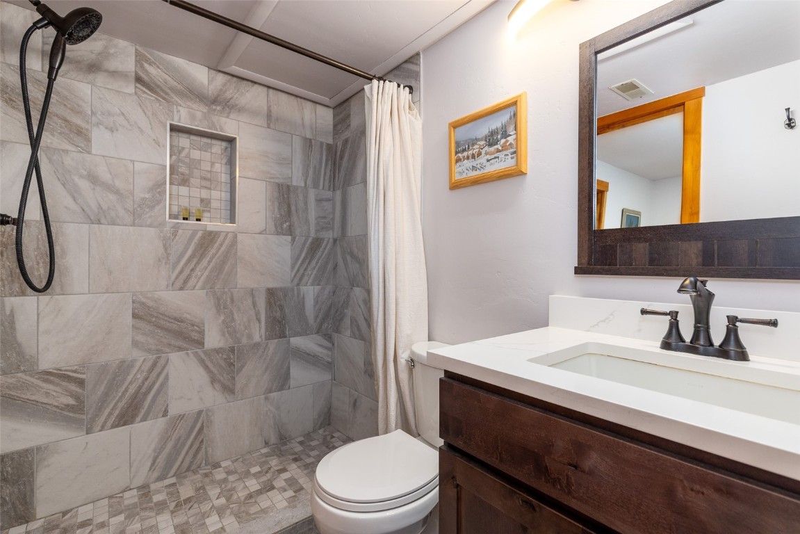500 Bills Ranch Road, Unit 251 Frisco, CO 80443 - Photo 14 of 33 a bathroom with a sink a toilet and shower