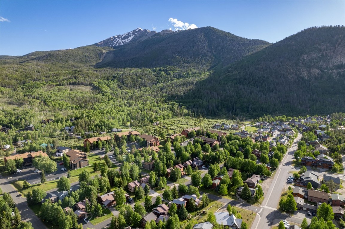 500 Bills Ranch Road, Unit 251 Frisco, CO 80443 - Photo 27 of 33 a view of a lush green field with a tree