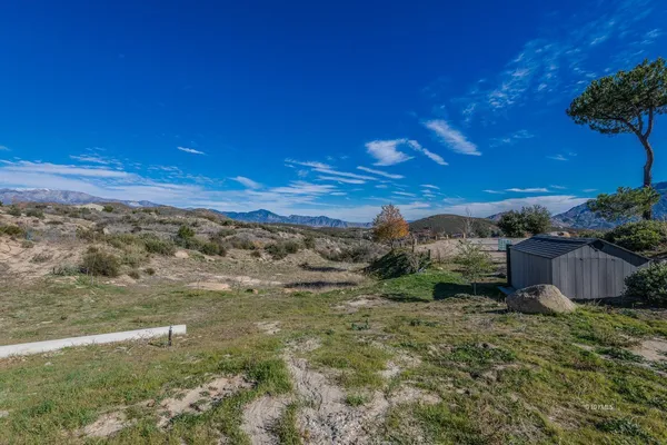 a view of a town with large trees