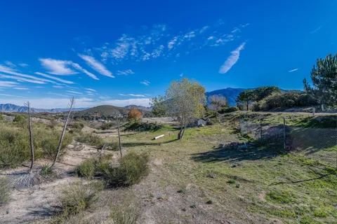 a view of a yard with plants and a bench