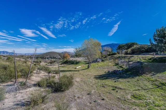 a view of a yard with plants and a bench