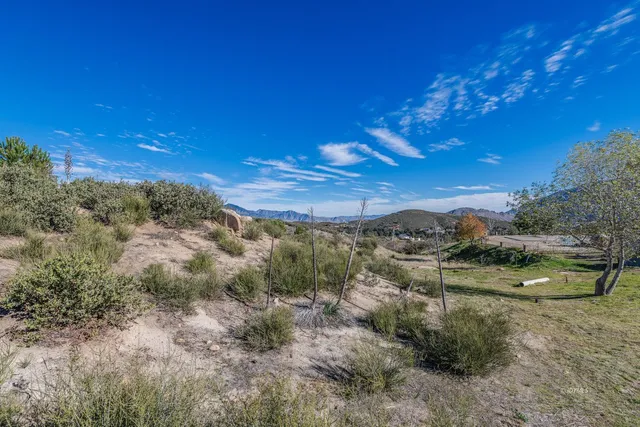 a view of a city with lush green forest