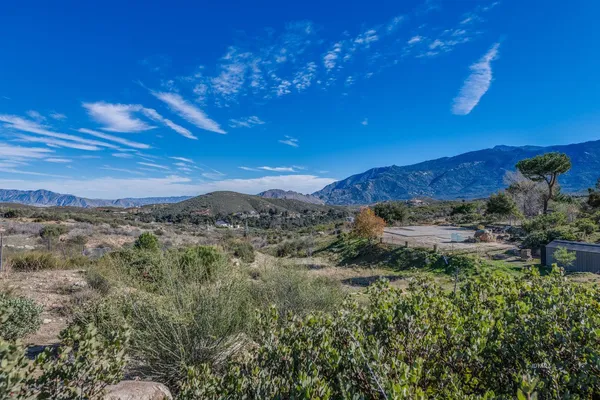 a view of a city with a forest