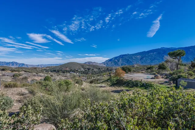 a view of a city with a forest