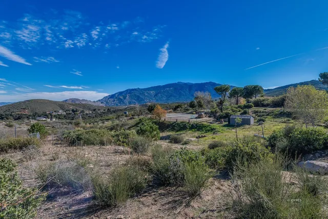 a view of a dry yard with green space
