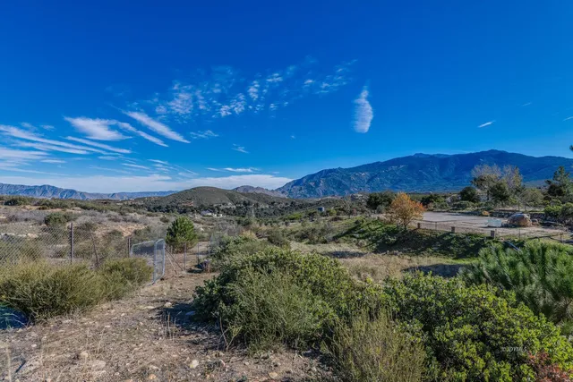 a view of a city with lush green forest