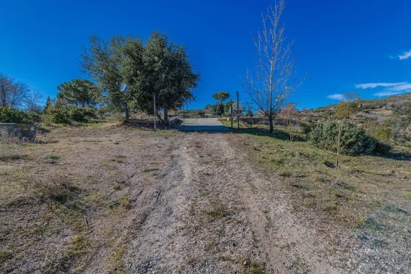a view of a backyard with large trees