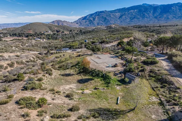 a view of a forest with a mountain view