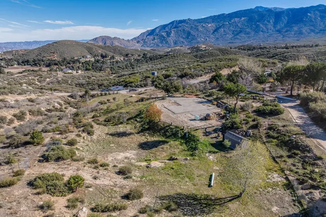 a view of a forest with a mountain view