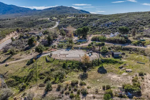 a vase of flowers sitting on a floor