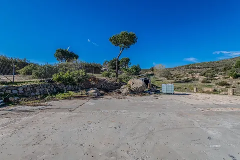 a street view with garden