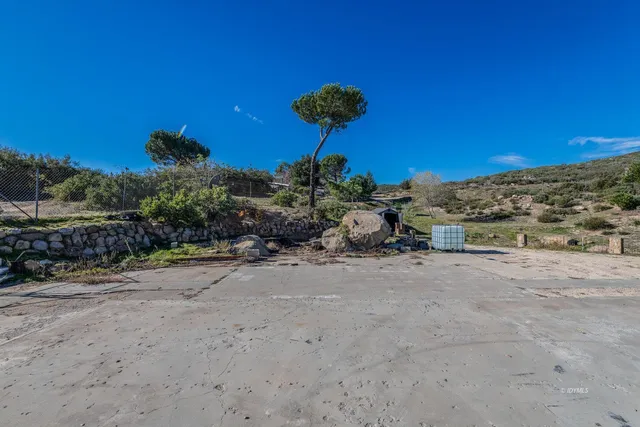 a street view with garden